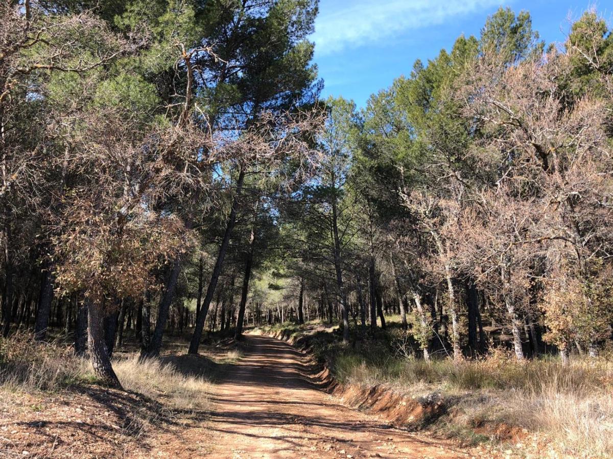 Casa Rural Tio Mora Horche Exteriér fotografie